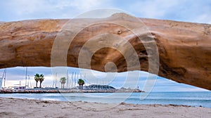 Beautiful beach and baulk in the frame. Beautiful nature background.