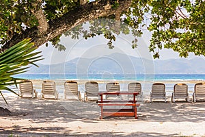 Beautiful beach with big bench and tree