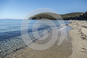 The beautiful beach with blue water of Cala Violina in Tuscany