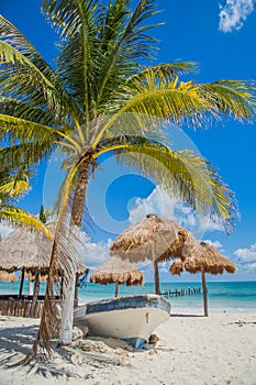 Beautiful beach. Boat on the beach under a palm tree Mexico, Carribean