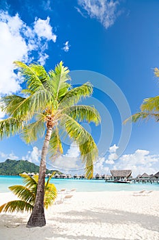 Beautiful beach on Bora Bora