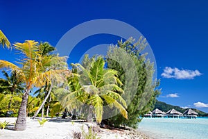 Beautiful beach on Bora Bora