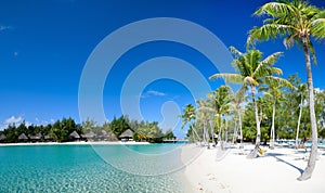 Beautiful beach on Bora Bora photo