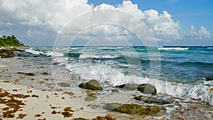 Beautiful Beach in Cancun Mexico