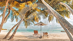 Beautiful beach. Chairs under palm trees sandy beach sea. Summer holiday and vacation concept for tourism. Inspirational beach