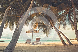 Beautiful beach. Chairs under palm trees sandy beach sea. Summer holiday and vacation concept for tourism. Inspirational beach