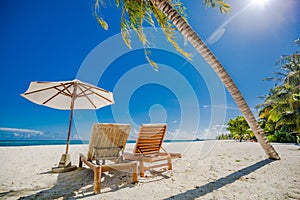 Beautiful beach. Chairs under palm trees sandy beach sea. Summer holiday and vacation concept for tourism. Inspirational beach