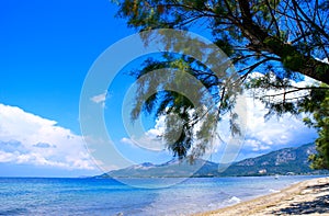 Beautiful beach at Chalkidiki peninsula