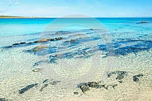 Beautiful beach with clear turquoise water, La Pelosa, Stintino, Sardinia