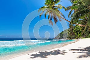 Beautiful beach with coco palms and turquoise sea in Jamaica island.