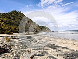 Beautiful beach in Costa Rica. clear skies trees and sunset sunrise.