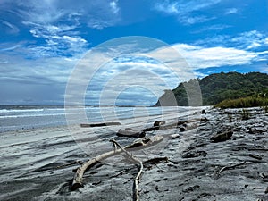 Beautiful beach in Costa Rica. clear skies trees and sunset sunrise.