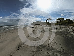 Beautiful beach in Costa Rica. clear skies trees and sunset sunrise.