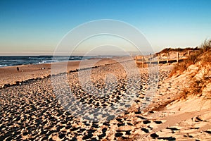 Beautiful beach with dunes and wooden walkway in Aveiro photo