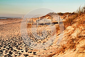 Beautiful beach with dunes and wooden walkway in Aveiro photo