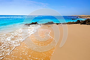 Beautiful beach in fuerteventura photo