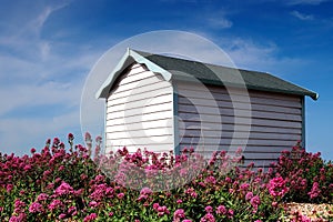 Beautiful Beach Hut surrounded by pink flowers