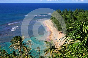 Beautiful Beach On Kauai photo