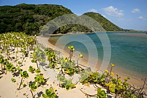 Beautiful beach at Kosi bay, South Africa