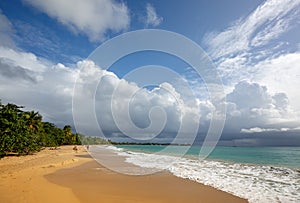 Beautiful beach in Martinique, Caribbeans