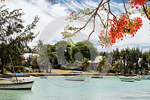 Beautiful beach north of Mauritius