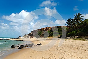 Beautiful beach with palm trees