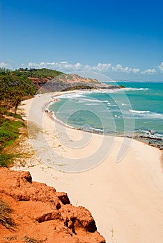 Beautiful beach with palm trees