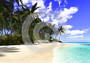 Beautiful Beach with Palm Trees