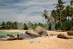 Beautiful beach with palm trees and boulders on the tropical island of Sri Lanka.