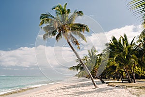 Beautiful beach, palm trees, and clouds on the horizon. Africa, Mauritius, South, near Le Morne