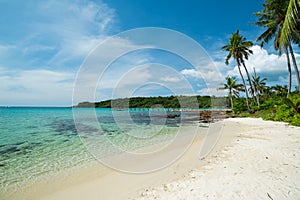 Beautiful beach and palm trees in Kood island