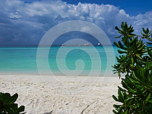 Beach with palm trees - Kuramathi Maldives photo