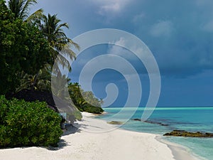 Beach with palm trees - Kuramathi Maldives photo