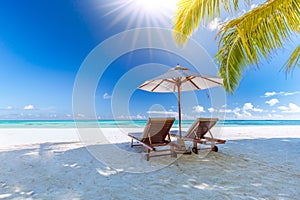 Beautiful beach with palm trees and moody sky. Summer vacation travel holiday background concept.