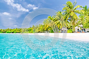 Beautiful beach with palm trees and moody sky. Summer vacation travel holiday background concept. Maldives paradise beach. Luxury