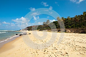 Beautiful beach with palm trees at Praia do Amor photo