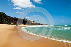 Beautiful beach with palm trees at Praia do Amor photo