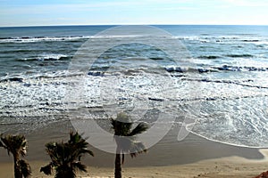 Beautiful beach with palm trees on the shores of the Mediterranean Sea, Spain