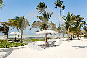 Beautiful beach with palm trees  sun lounger  parasols of Hotel Baraza Resort  Zanzibar