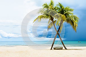 Beautiful beach with palms