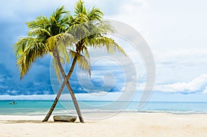 Beautiful beach with palms