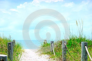 Beautiful beach path scene with sea oats