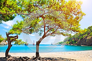 Beautiful beach with pines near Kemer, Turkey