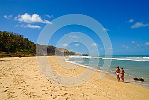 Beautiful beach at Praia do Amor near Pipa Brazil