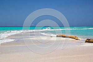 Beautiful beach with pristine turquoise water in Conflict Island, Papua New Guinea