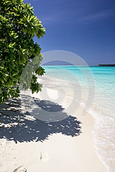 Beautiful beach with pristine turquoise water in Conflict Island, Papua New Guinea