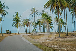 Beautiful beach road with coconut trees in Kampung Jambu Bongkok, Terengganu, Malaysia