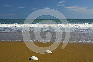 Beautiful beach, on the sand roll frothy waves