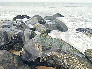 Beautiful Beach, sand, stone, rock, water, wave, sea, close-up, landscape, nature backgrounds