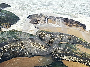 Beautiful Beach, sand, stone, rock, water, wave, sea, close-up, landscape, nature backgrounds